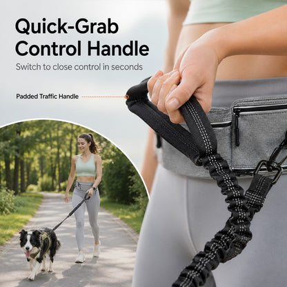Paws in Awe Hands-Free Dog Running Leash Waist Belt – Shock Absorbing & Reflective, Perfect for Jogging, Hiking & Outdoor Walks with Your Dog image 6