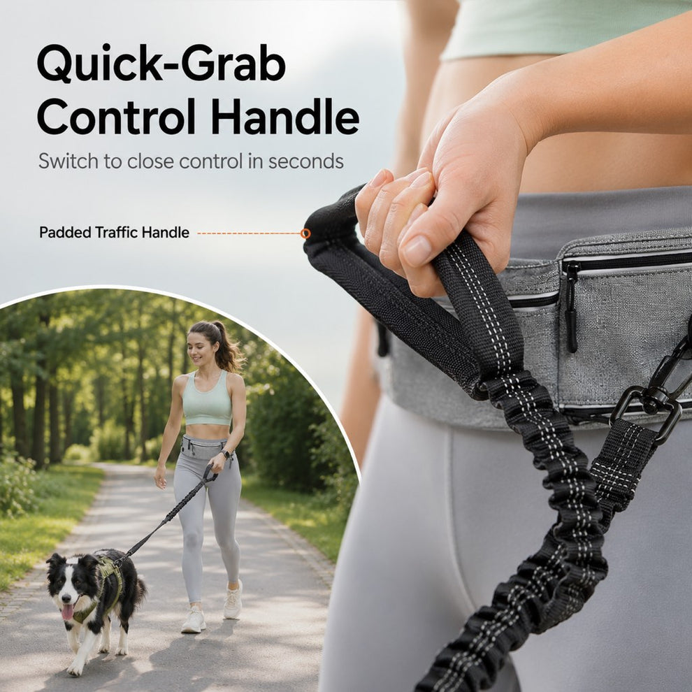Paws in Awe Hands-Free Dog Running Leash Waist Belt – Shock Absorbing & Reflective, Perfect for Jogging, Hiking & Outdoor Walks with Your Dog image 6