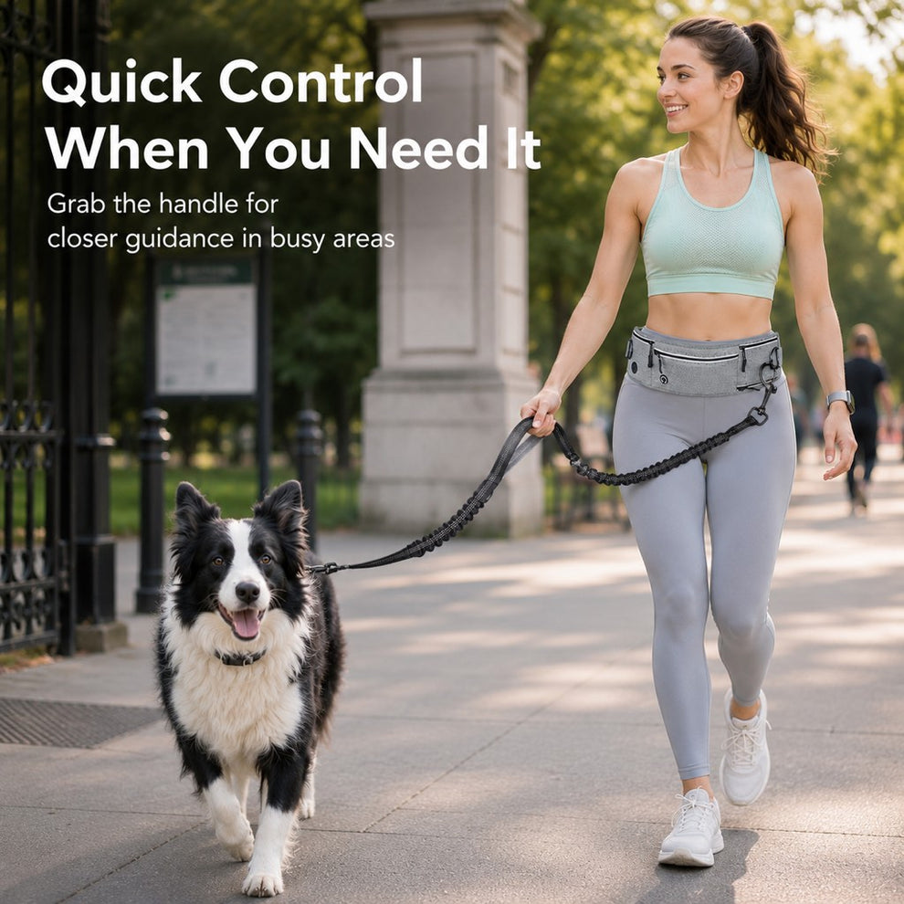 Paws in Awe Hands-Free Dog Running Leash Waist Belt – Shock Absorbing & Reflective, Perfect for Jogging, Hiking & Outdoor Walks with Your Dog image 3