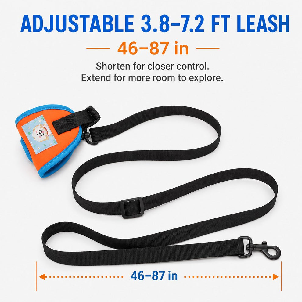 Dog walking leash for parks and neighborhood outings