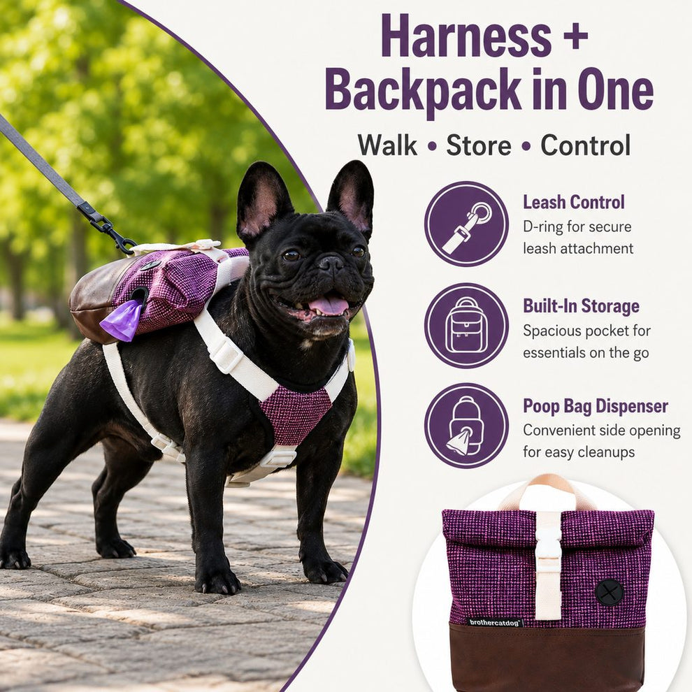 Harness and backpack in one Frenchie walk gear