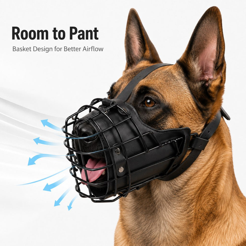 Paws in Awe Heavy-Duty Black Steel Basket Dog Muzzle for Large Dogs - Safer Walks, Vet Visits & Anti-Scavenging Control image 6