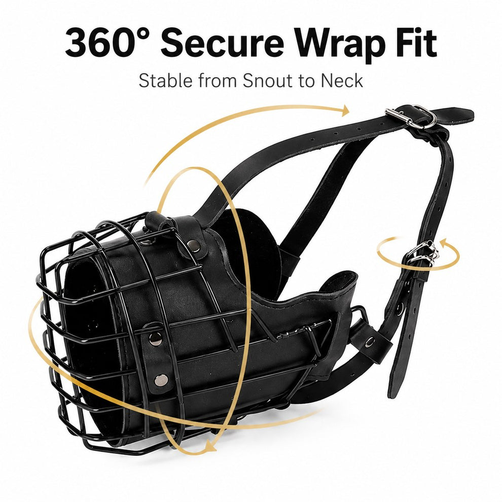 Paws in Awe Heavy-Duty Black Steel Basket Dog Muzzle for Large Dogs - Safer Walks, Vet Visits & Anti-Scavenging Control image 7