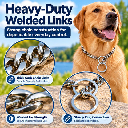 Heavy-duty welded stainless steel links on a dog chain collar