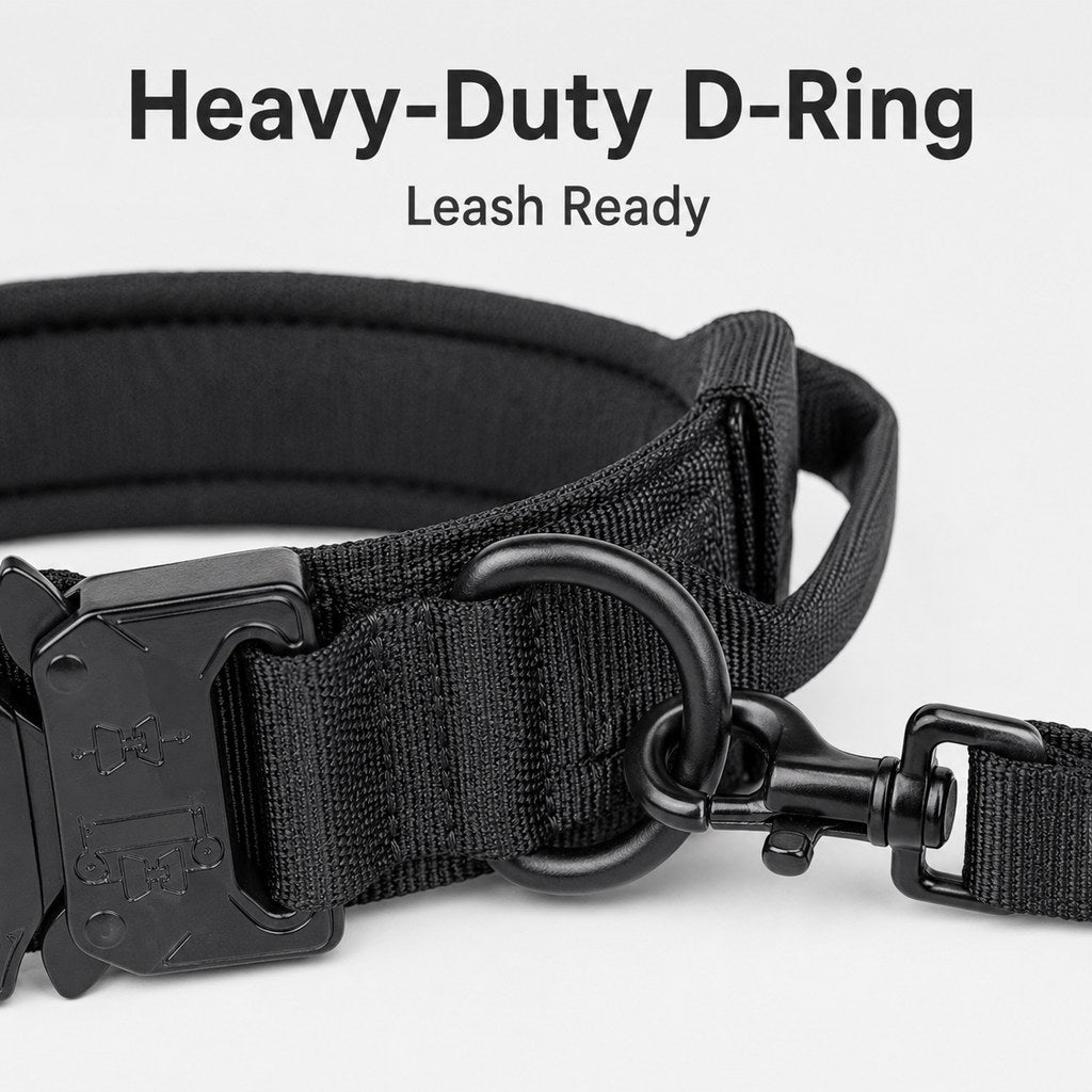 Heavy-duty D-ring leash attachment on tactical dog collar