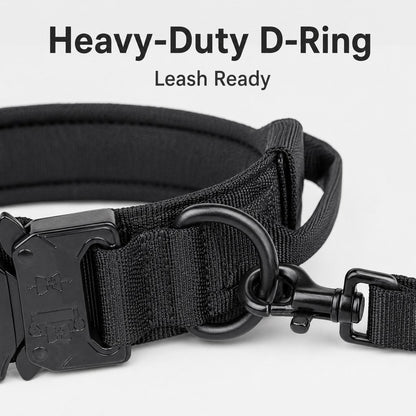 Heavy-duty D-ring leash attachment on tactical dog collar