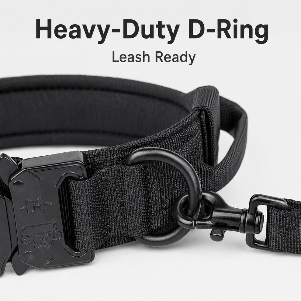 Heavy-duty D-ring leash attachment on tactical dog collar