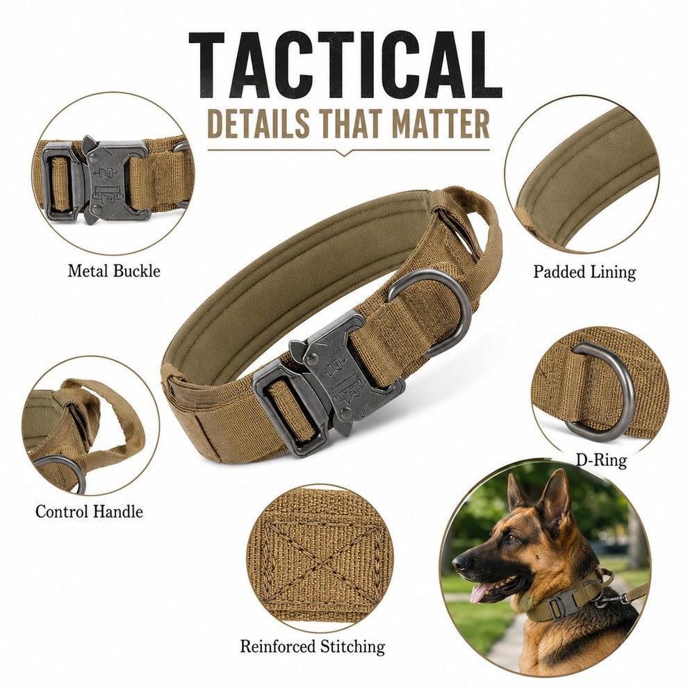 Tactical dog collar details including metal buckle padded lining control handle D-ring and stitching