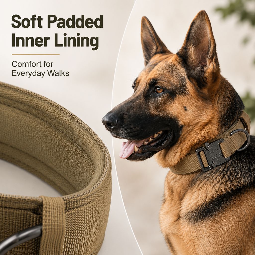 Soft padded inner lining tactical dog collar for everyday walks