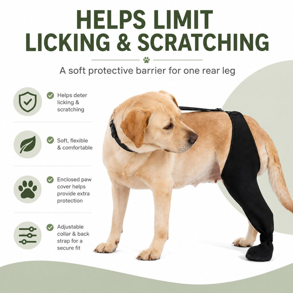 Dog rear leg recovery sleeve helps limit licking and scratching