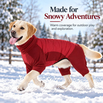 burgundy dog winter snowsuit for snowy outdoor adventures