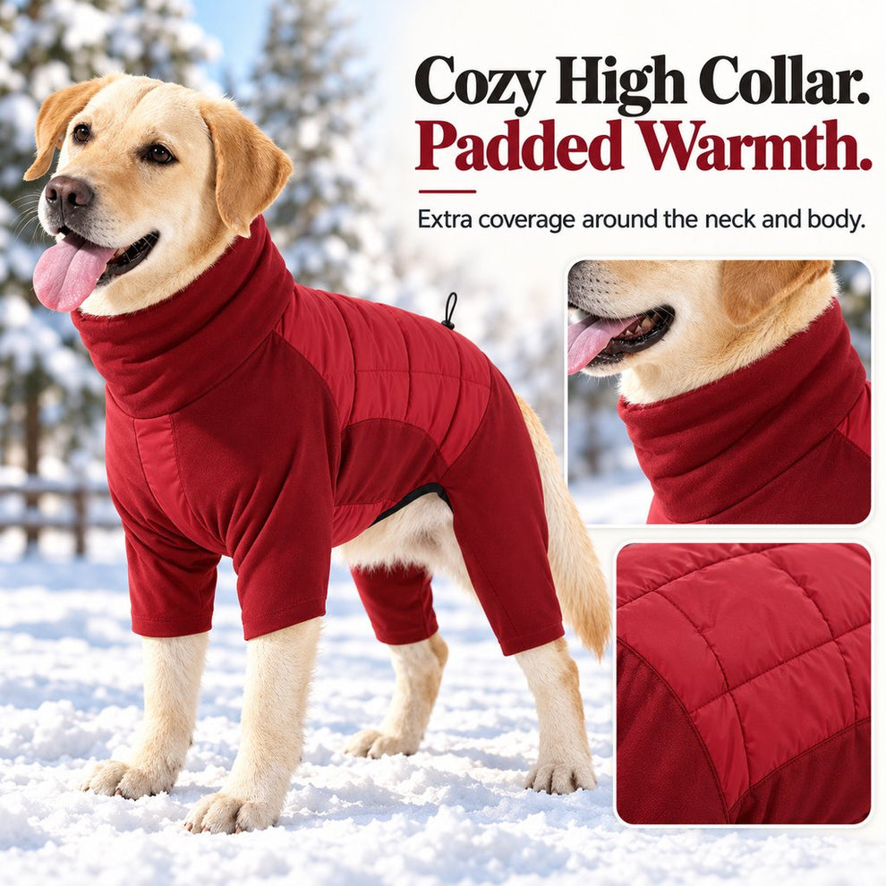 high collar and padded back panels on burgundy dog snowsuit
