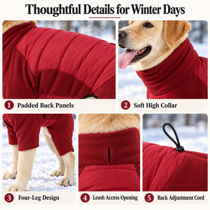 padded panels collar four-leg design leash opening and adjustment details