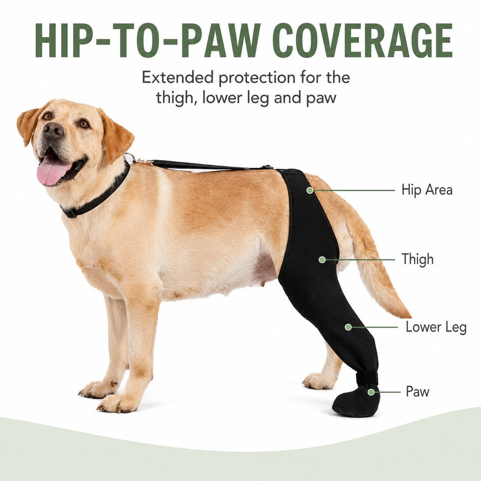 Hip to paw coverage dog rear leg sleeve