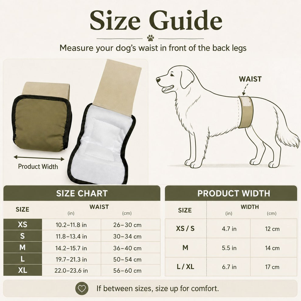 Paws in Awe 3-Pack Washable Male Dog Belly Bands for Indoor Marking & Senior Dribbles - Reusable Dog Diaper Wraps to Protect Floors & Furniture image 9
