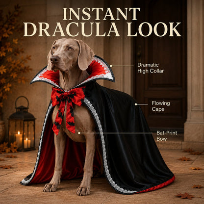 Instant Dracula look dog vampire cape features