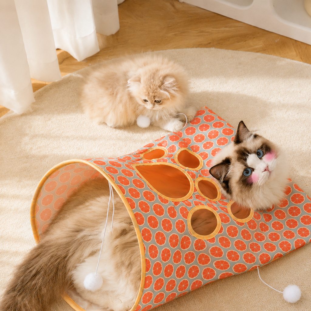 Paws in Awe Interactive Cat Crinkle Play Sack for Indoor Cats - Hide, Pounce & Stay Busy While You're Away image 9