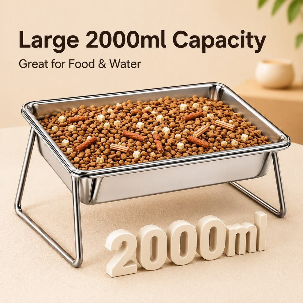 Paws in Awe Elevated 304 Stainless Steel Pet Bowl with Stand for Cats & Dogs - Anti-Tip Raised Feeder for Cleaner Meals image 6