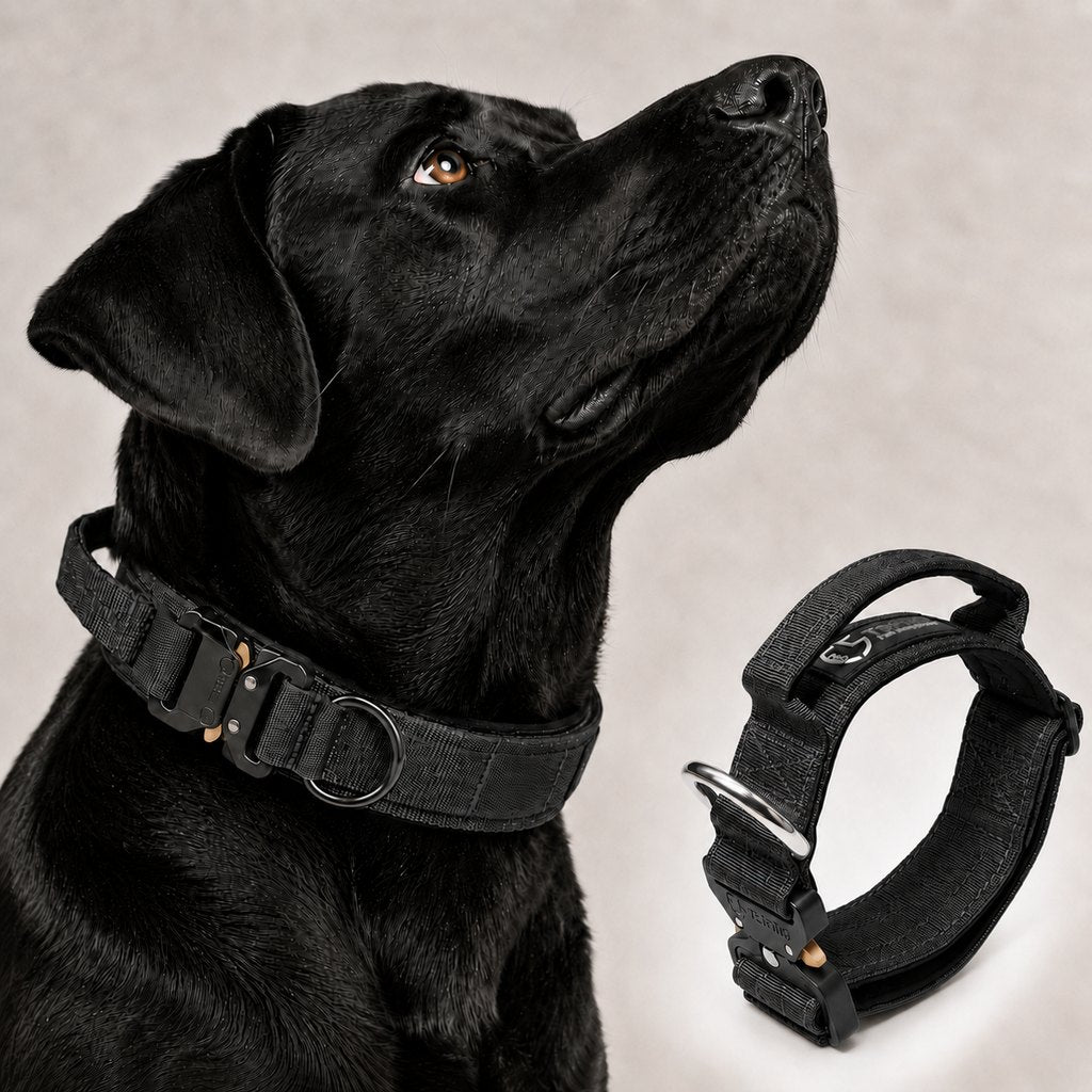 Paws in Awe Large Dog Tactical Collar with Control Handle - Secure Grip for Walks, Training & Strong Pullers image 12