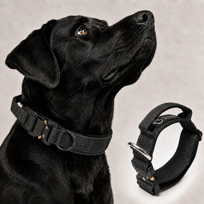Paws in Awe Large Dog Tactical Collar with Control Handle - Secure Grip for Walks, Training & Strong Pullers image 12