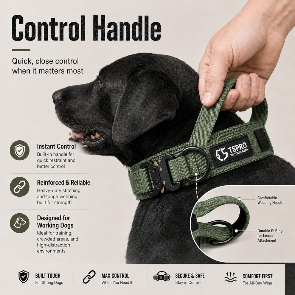 Paws in Awe Large Dog Tactical Collar with Control Handle - Secure Grip for Walks, Training & Strong Pullers image 5