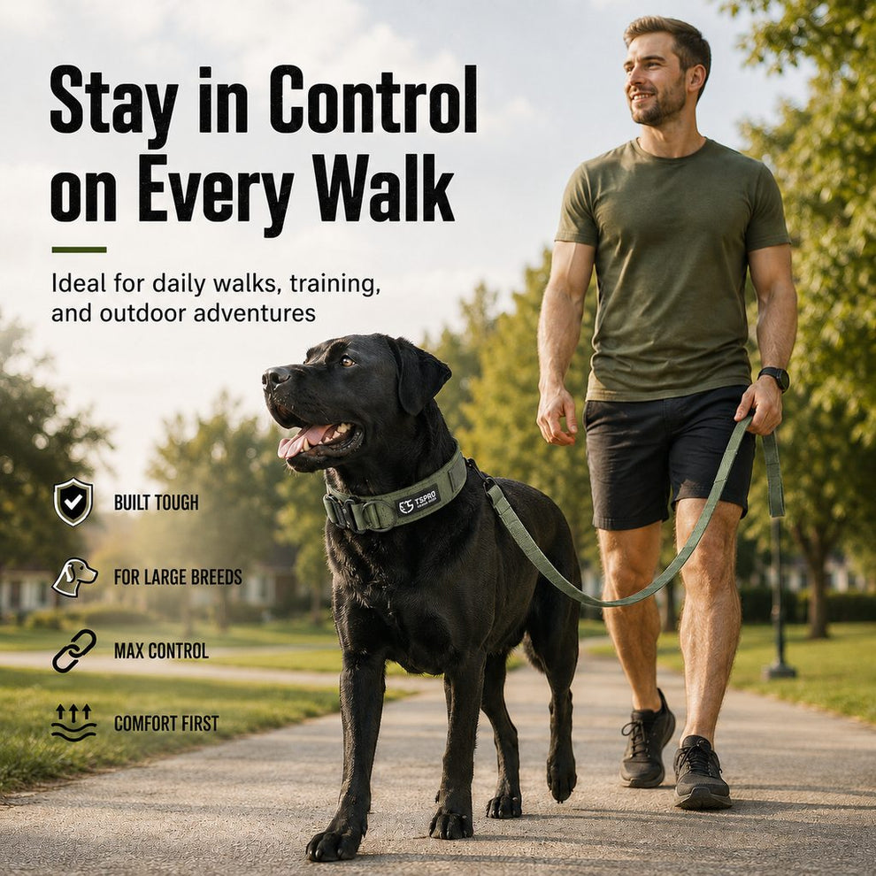 Paws in Awe Large Dog Tactical Collar with Control Handle - Secure Grip for Walks, Training & Strong Pullers image 11