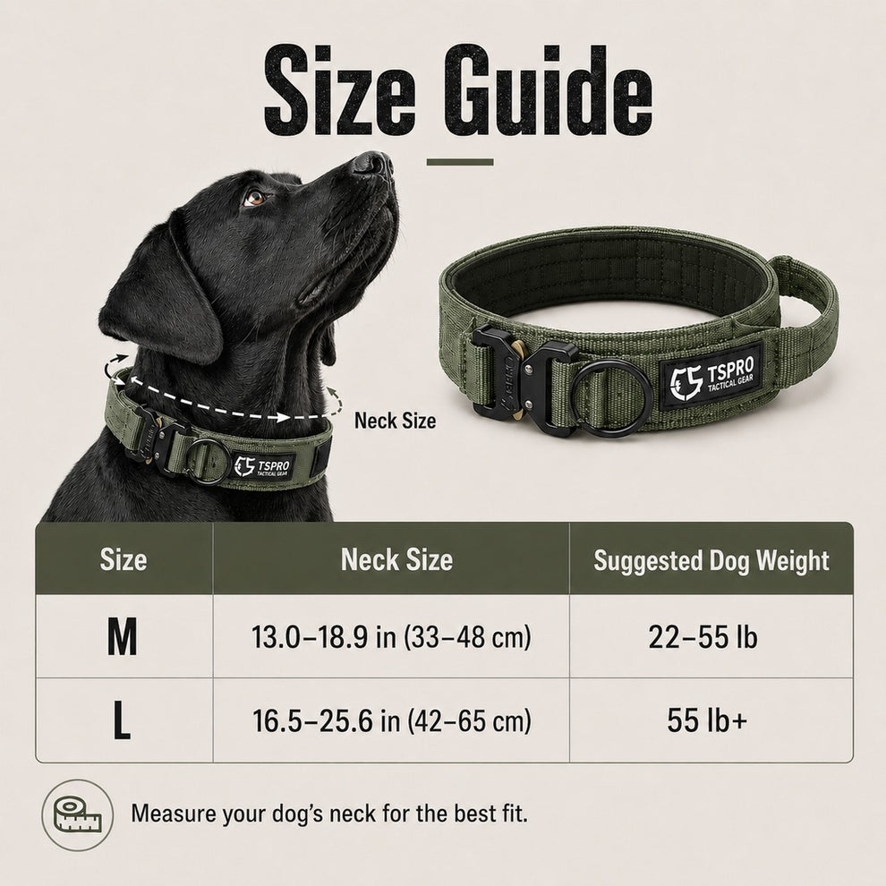 Paws in Awe Large Dog Tactical Collar with Control Handle - Secure Grip for Walks, Training & Strong Pullers image 10