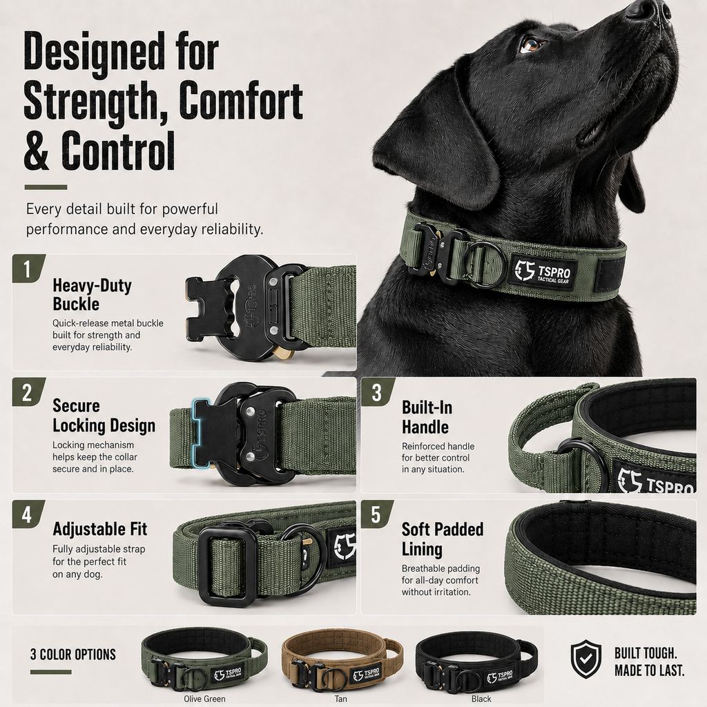Paws in Awe Large Dog Tactical Collar with Control Handle - Secure Grip for Walks, Training & Strong Pullers image 6