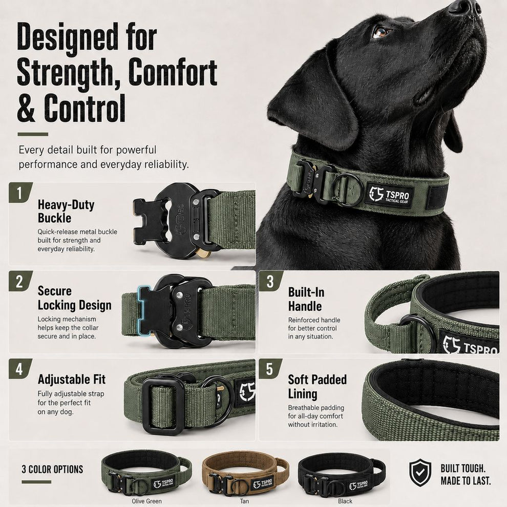 Paws in Awe Large Dog Tactical Collar with Control Handle - Secure Grip for Walks, Training & Strong Pullers image 6