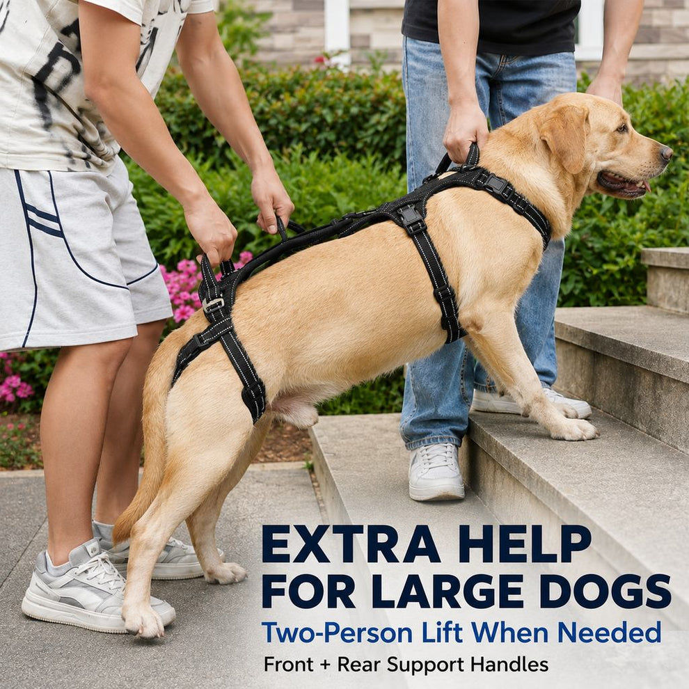 Paws in Awe Full Body Dog Lift Harness for Stairs & Car - Mobility Support for Weak Hind Legs image 6