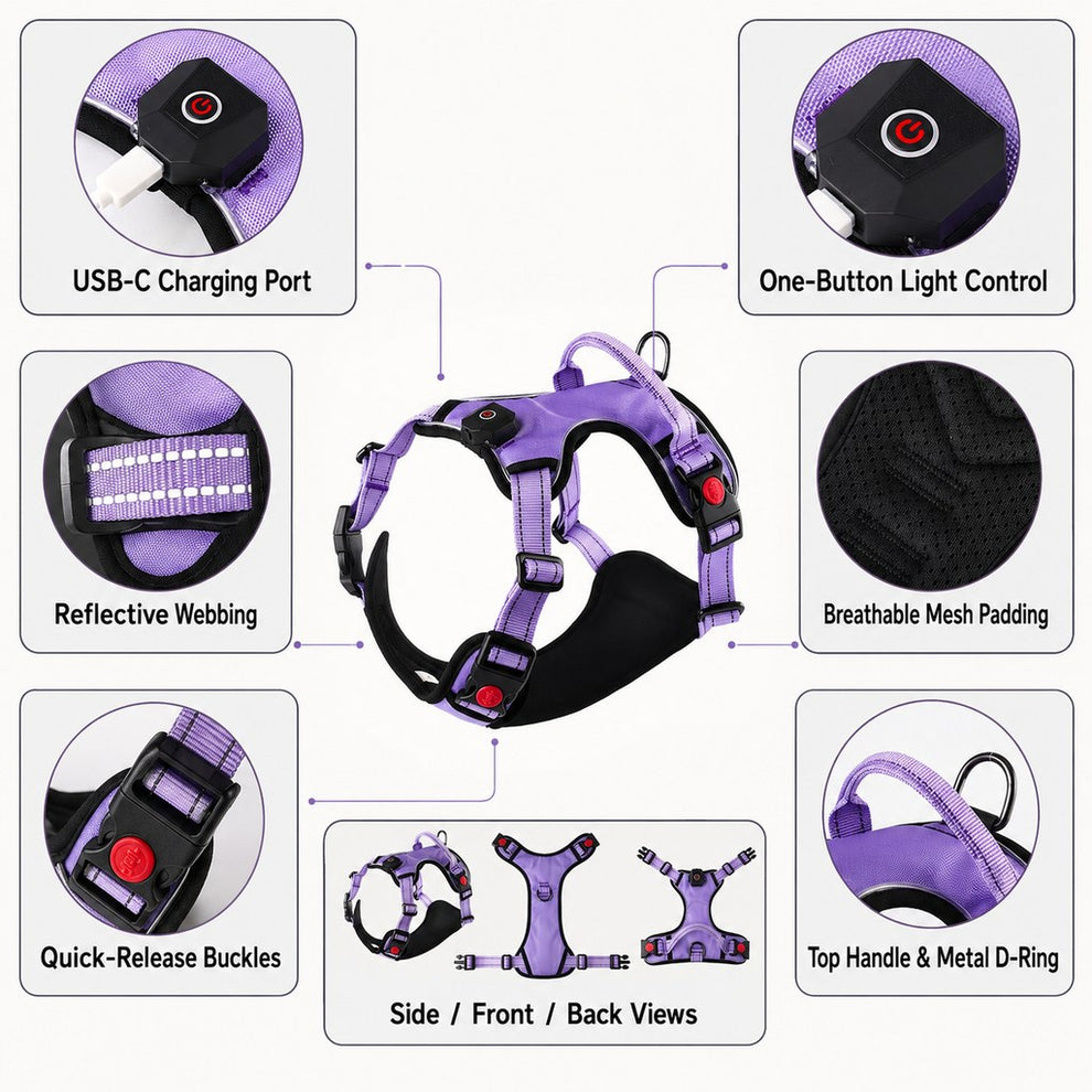 Rechargeable LED dog harness product details and USB-C charging port