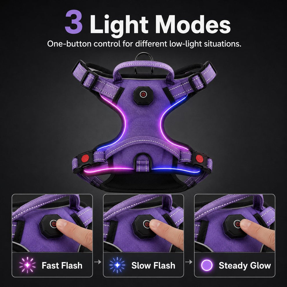 LED dog harness with three light modes fast flash slow flash and steady glow