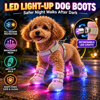 LED light-up pink dog boots for safer night walks