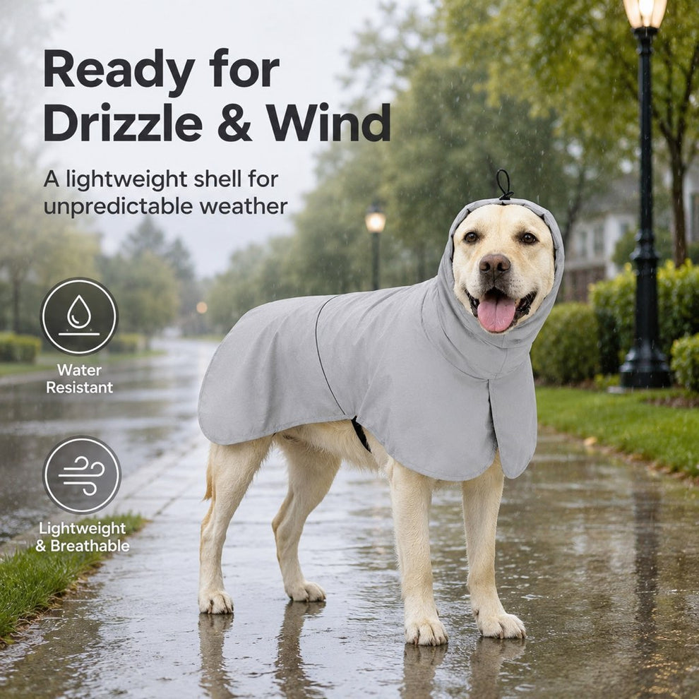 Paws in Awe Hooded Dog Sun & Rain Cape for Summer Walks - Lightweight Neck-to-Back Coverage for Drizzle, Wind & Sunny Outdoor Days image 3
