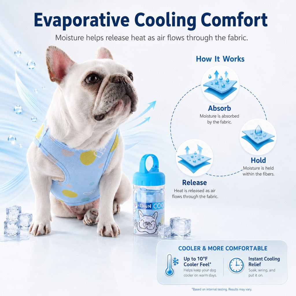 French Bulldog cooling vest with portable bottle