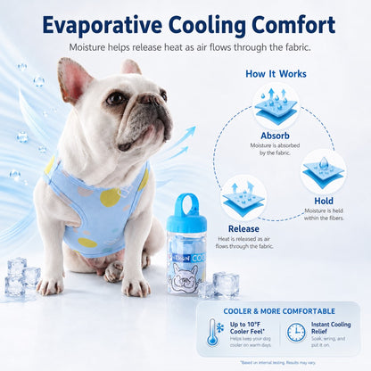 French Bulldog cooling vest with portable bottle