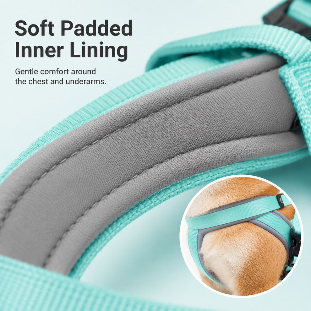 Paws in Awe Quick-Fit Lightweight Dog Harness & Leash Set for Daily Walks - No-Choke Step-In Comfort with Secure Buckle & Back Control Handle image 8