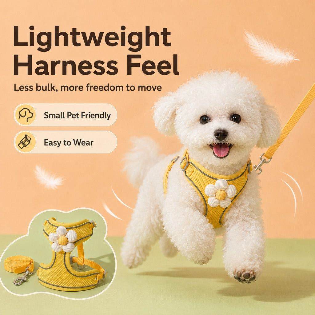 Paws in Awe Daisy Pet Harness & Leash Set for Daily Walks - Adjustable, Breathable Comfort for Small Dogs & Cats image 5