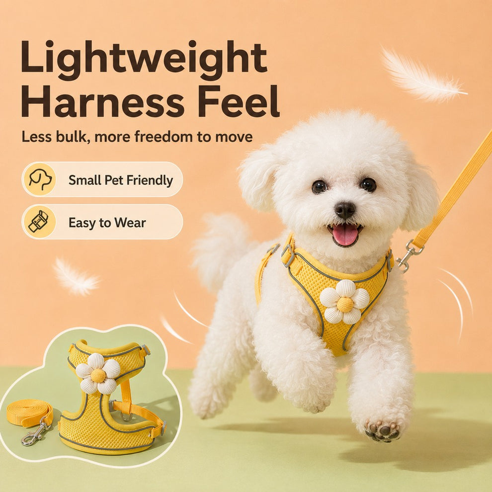 Paws in Awe Daisy Pet Harness & Leash Set for Daily Walks - Adjustable, Breathable Comfort for Small Dogs & Cats image 5