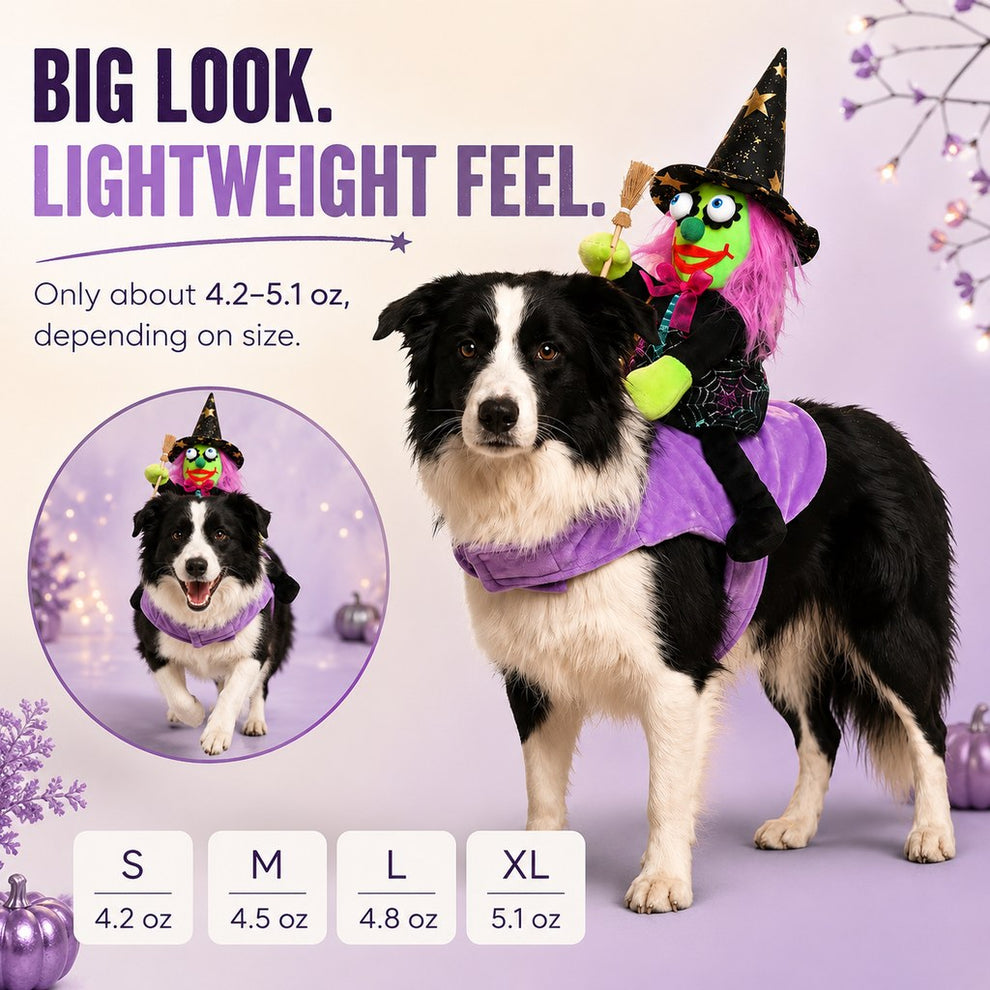 Paws in Awe 3D Witch Rider Halloween Pet Costume for Trick-or-Treating, Parties & Photos – Instant Funny Look for Dogs & Cats image 7