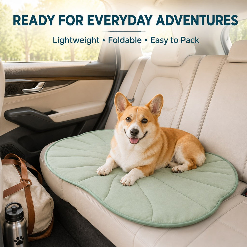 Lotus leaf pet mat for car seat travel comfort
