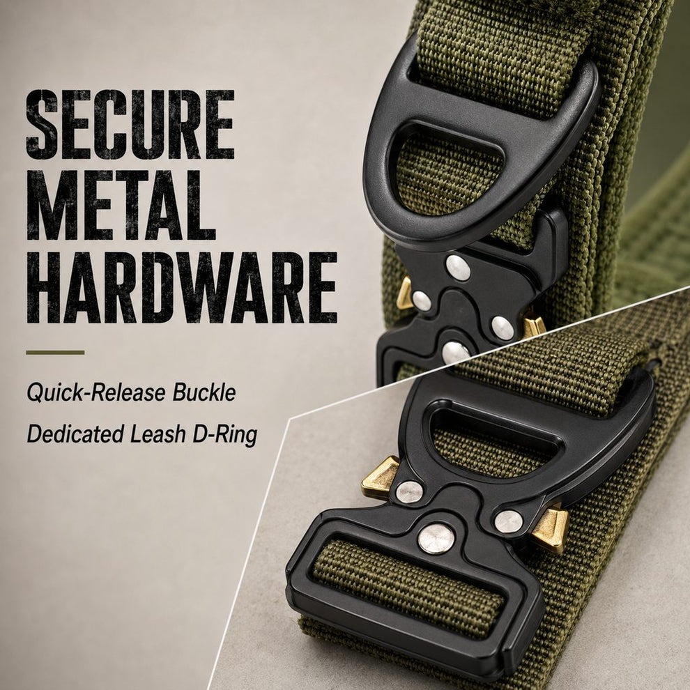Low-profile AirTag-compatible holder on dog collar