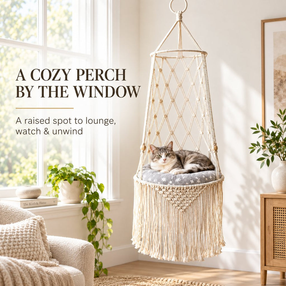 macrame hanging cat bed beside a sunny window
