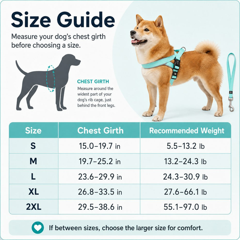 Paws in Awe Quick-Fit Lightweight Dog Harness & Leash Set for Daily Walks - No-Choke Step-In Comfort with Secure Buckle & Back Control Handle image 10