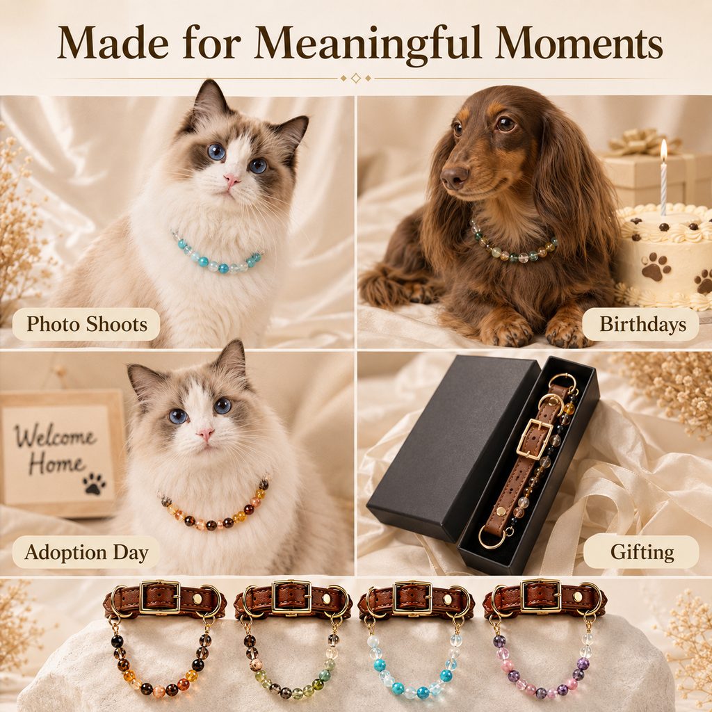 Meaningful pet gift crystal collar for birthdays and holidays