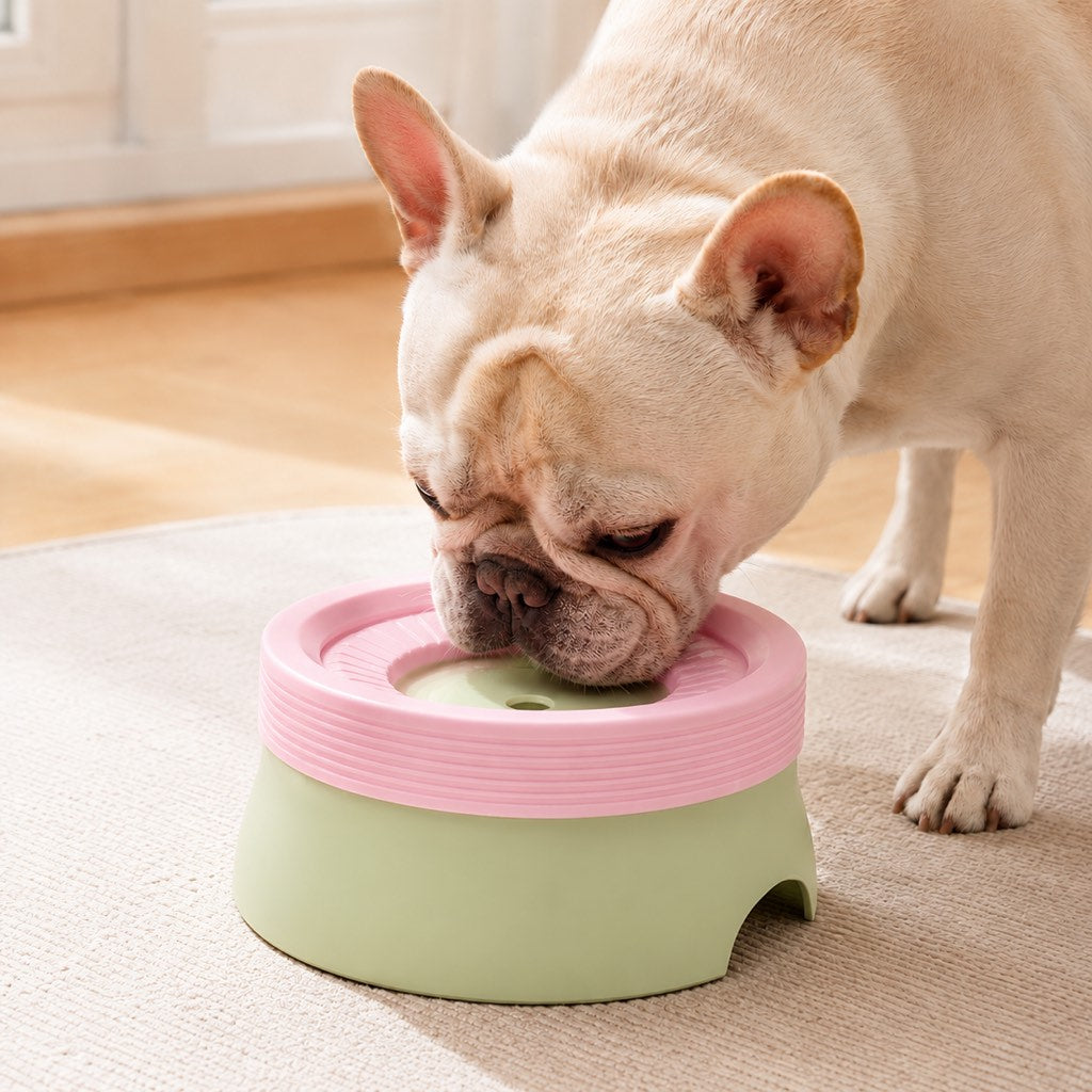 Messy drinker dog water bowl helps keep muzzle drier