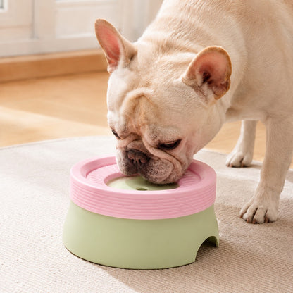 Messy drinker dog water bowl helps keep muzzle drier