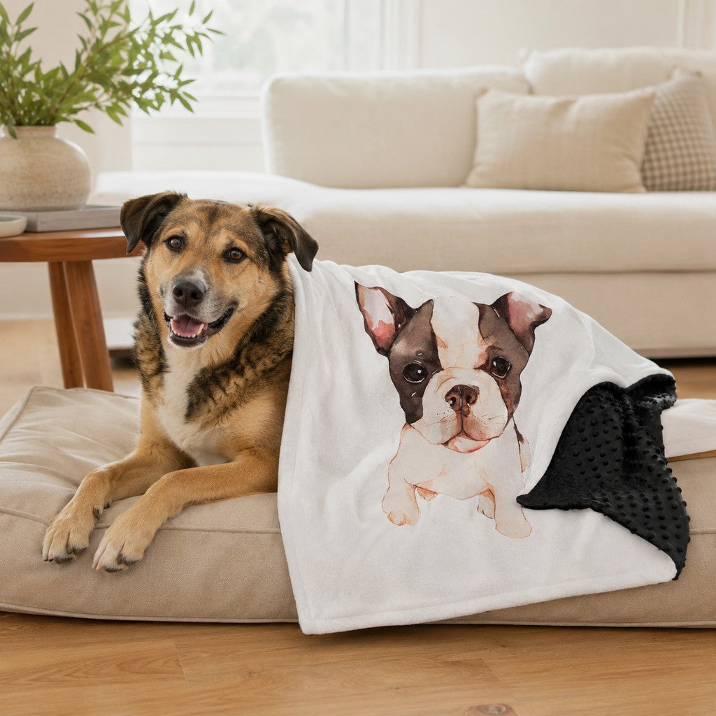 Paws in Awe Layered Minky Pet Comfort Blanket for Dog Beds, Quiet Corners & Noisy Moments image 1
