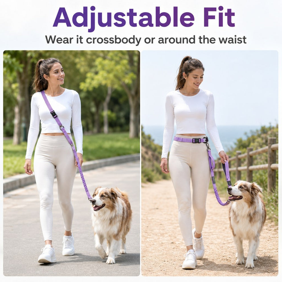Paws in Awe Hands-Free Shock-Absorbing Dog Leash for Running, Walking & Car Travel - Bungee Leash Helps Reduce Pulling image 8