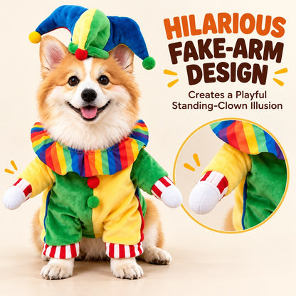 Multicolor jester dog costume ready for Halloween photos